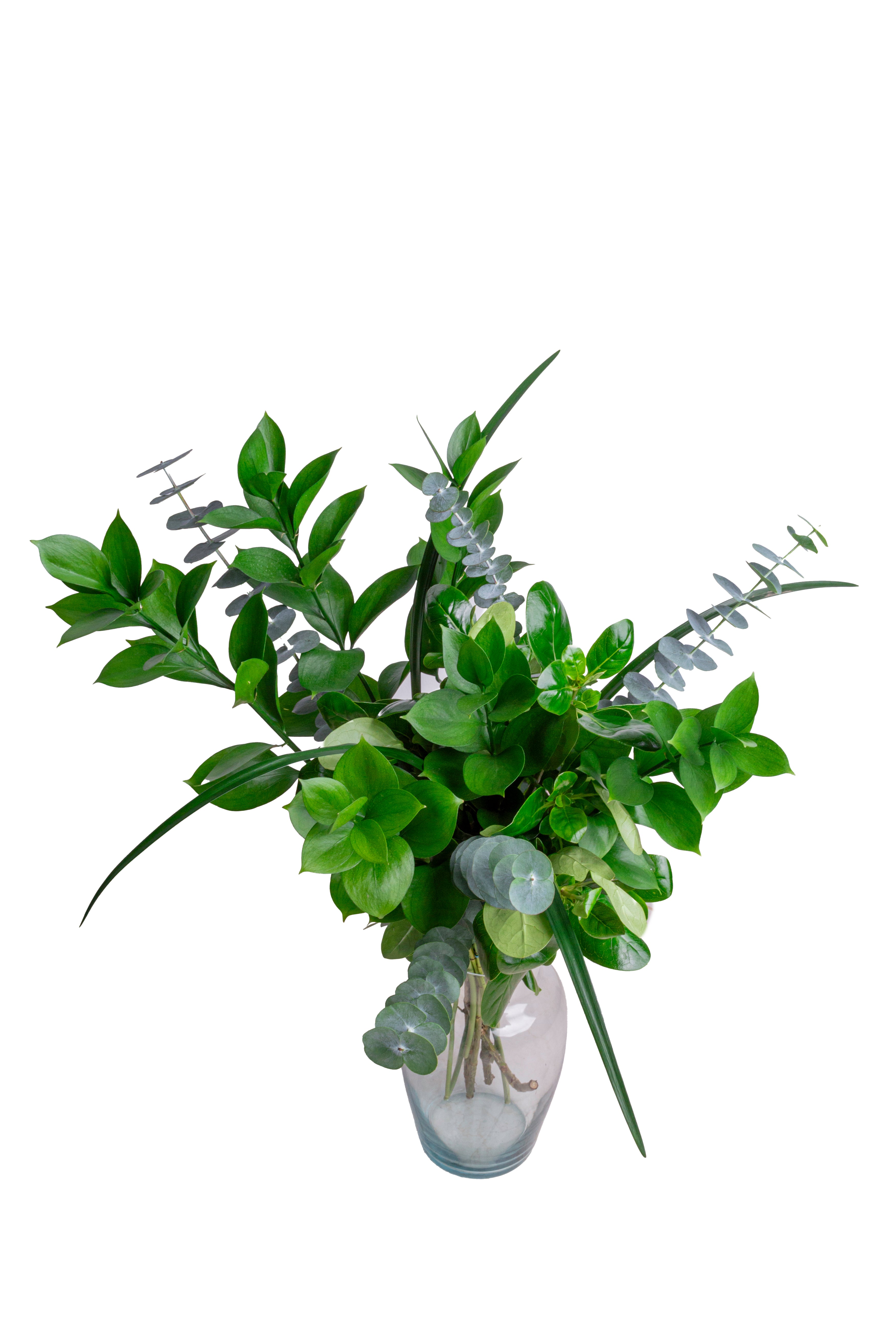 Bouquet Green Mayorista